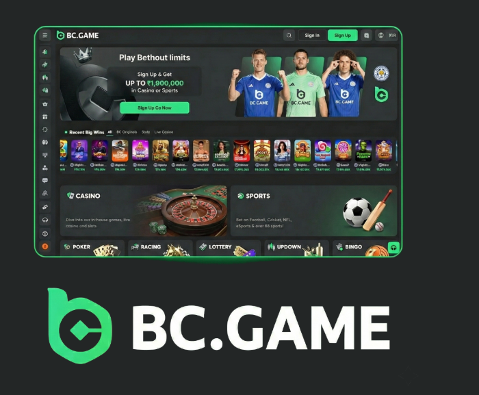 BC.Game Poland Login Process A Complete Guide -265650572